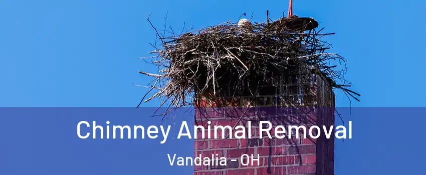  Chimney Animal Removal Vandalia - OH