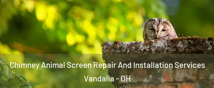  Chimney Animal Screen Repair And Installation Services Vandalia - OH