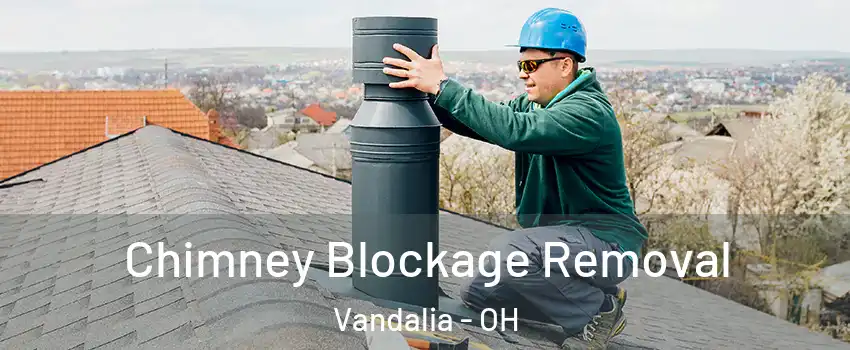  Chimney Blockage Removal Vandalia - OH