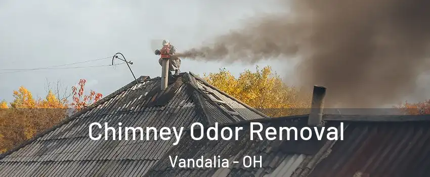  Chimney Odor Removal Vandalia - OH