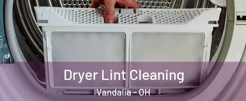  Dryer Lint Cleaning Vandalia - OH