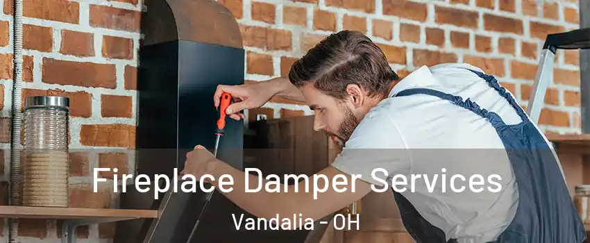  Fireplace Damper Services Vandalia - OH