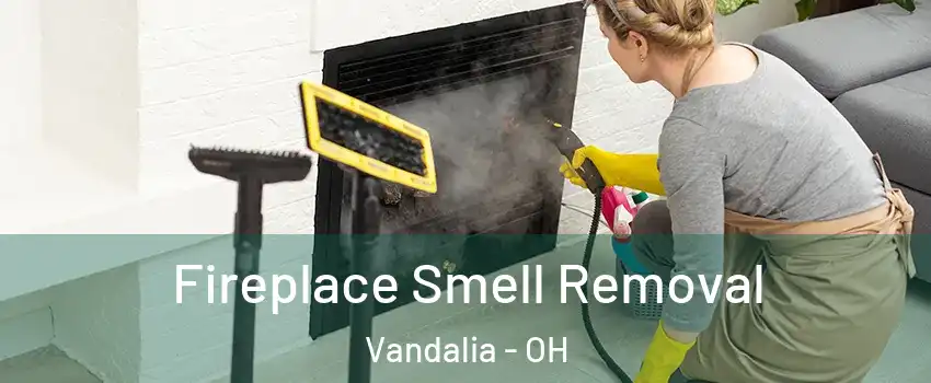  Fireplace Smell Removal Vandalia - OH