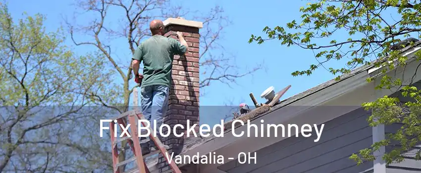  Fix Blocked Chimney Vandalia - OH