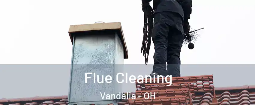  Flue Cleaning Vandalia - OH