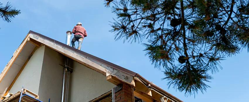 Birds Removal Contractors from Chimney in Vandalia, OH