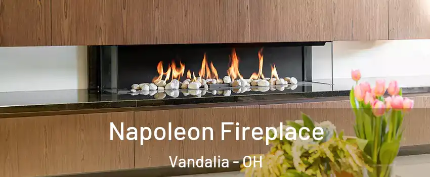  Napoleon Fireplace Vandalia - OH